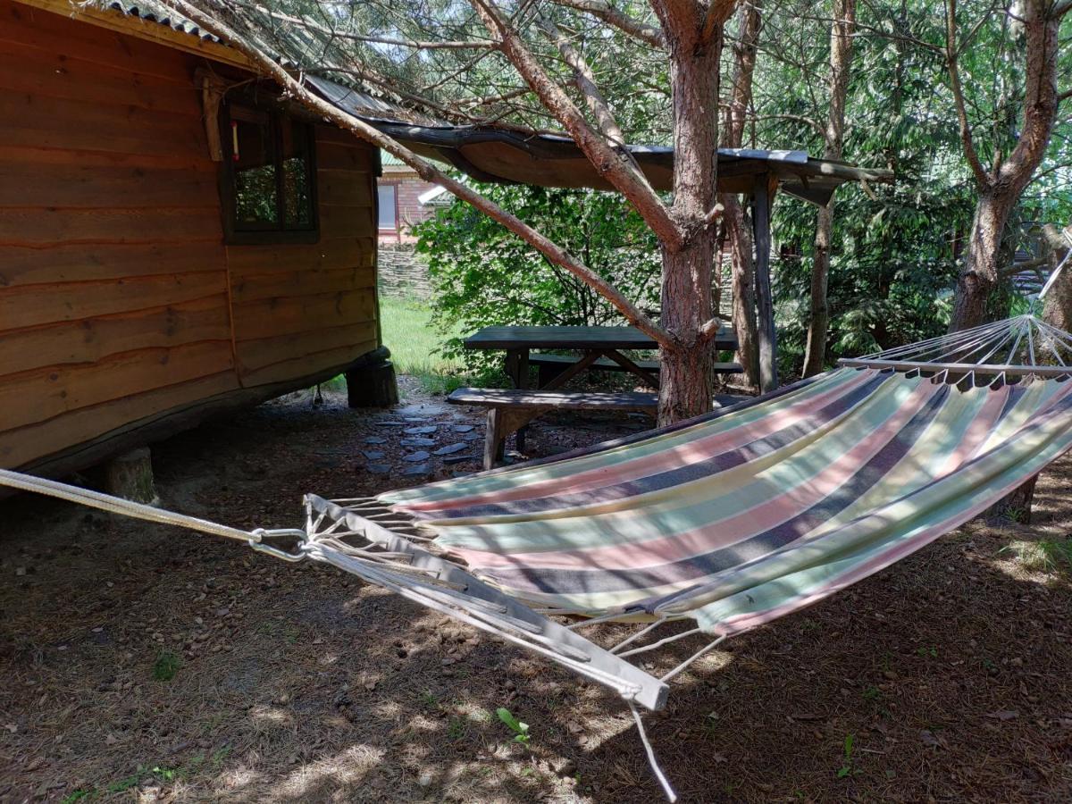Apartament Zelenyi Rai Świtaź Zewnętrze zdjęcie