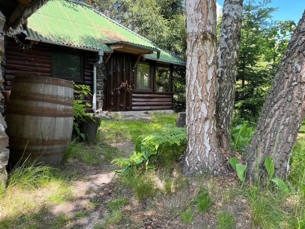 Apartament Zelenyi Rai Świtaź Zewnętrze zdjęcie