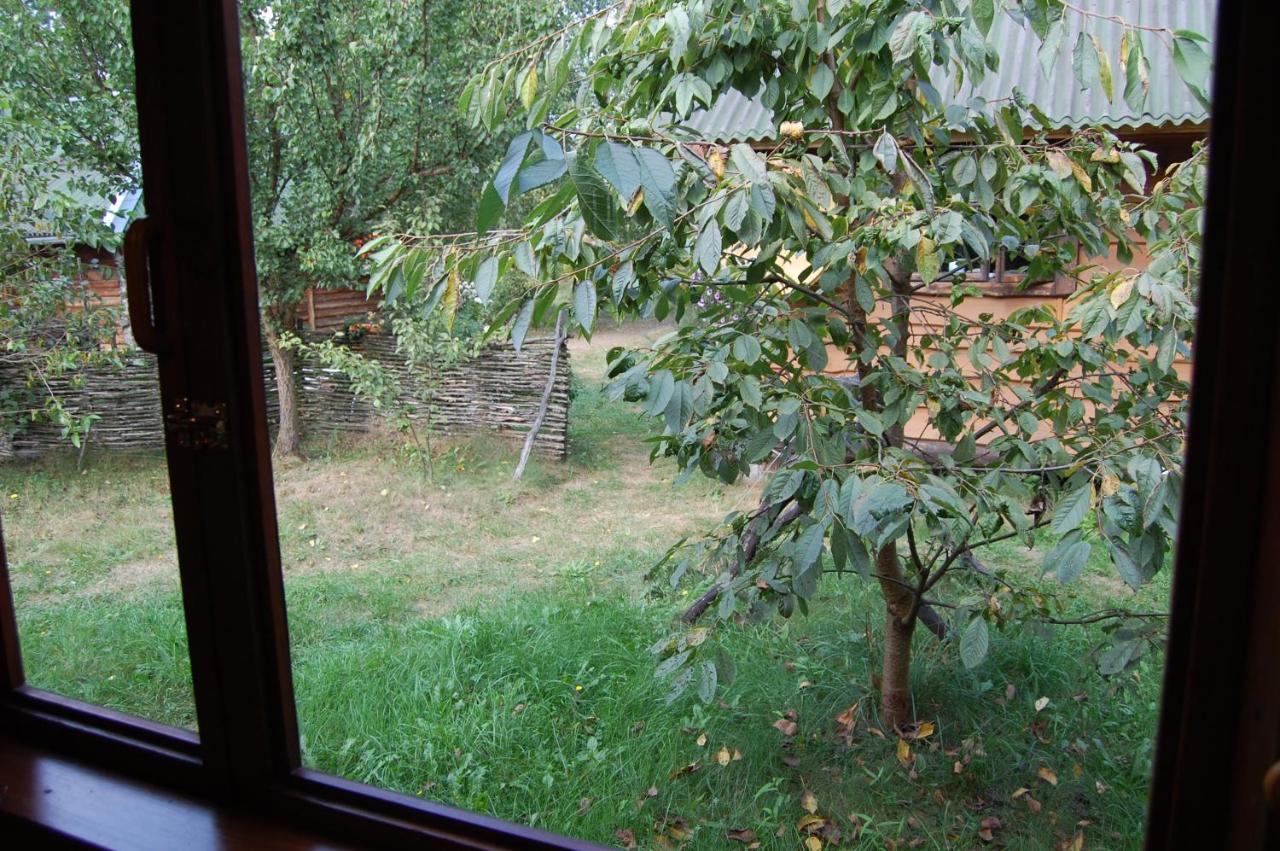 Apartament Zelenyi Rai Świtaź Zewnętrze zdjęcie