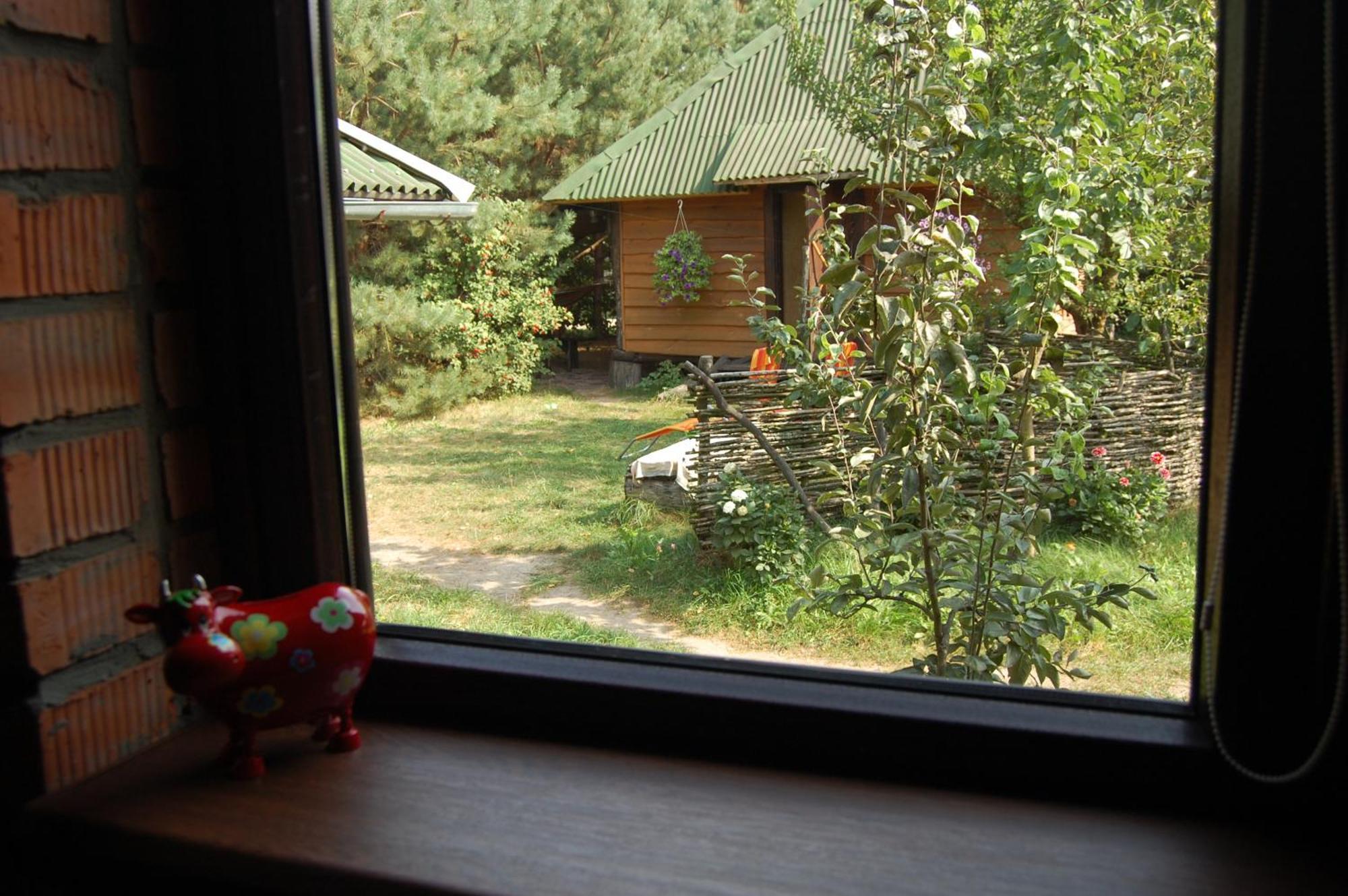 Apartament Zelenyi Rai Świtaź Pokój zdjęcie