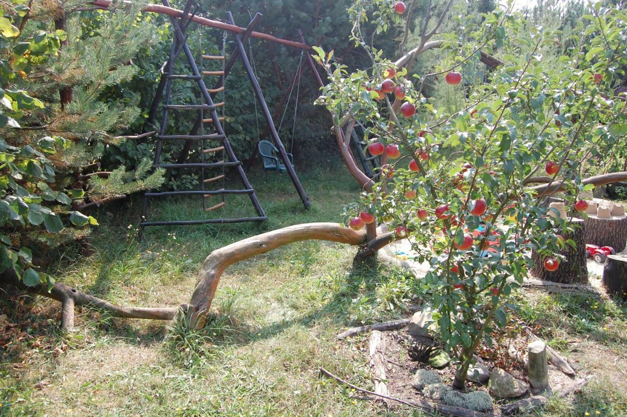 Apartament Zelenyi Rai Świtaź Zewnętrze zdjęcie